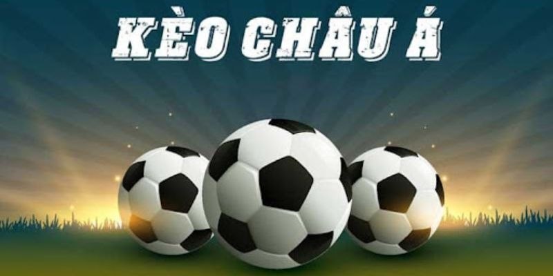 Yếu tố quan trọng khi học cách soi kèo nhà cái là hiểu rõ các loại kèo cược hiện nay
