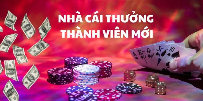 Thông tin về khuyến mãi tại 58Win