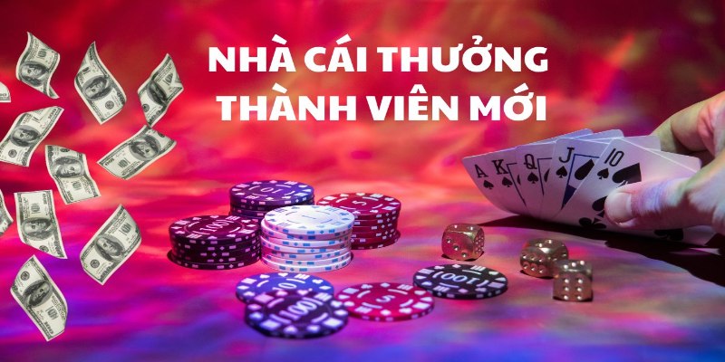 Thông tin về các sự kiện hấp dẫn