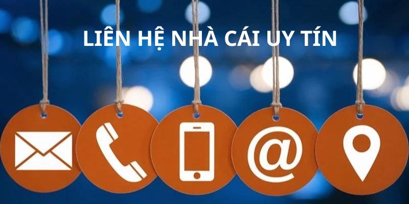 Bạn có thể gửi yêu cầu thay đổi mật khẩu, cập nhật thông tin cá nhân